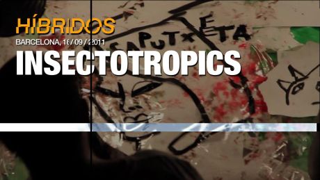 Insectotropics